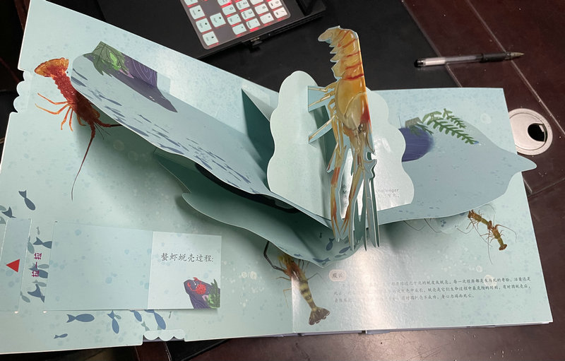 立體書(shū)印刷